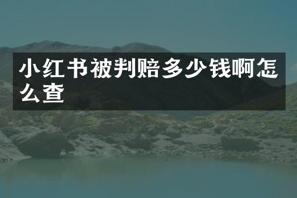 小红书被判赔多少钱啊怎么查