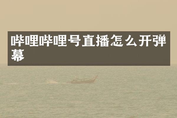 哔哩哔哩号直播怎么开弹幕