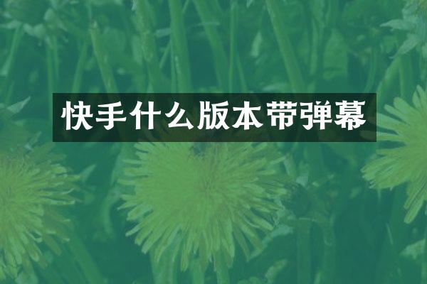 快手什么版本带弹幕