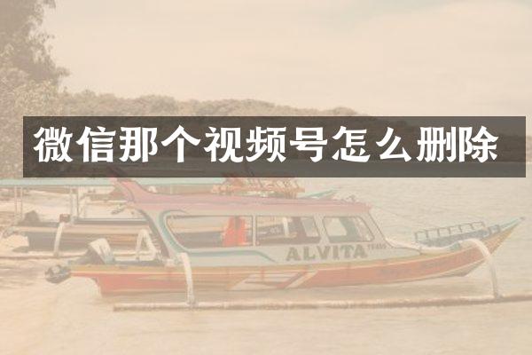 微信那个视频号怎么删除