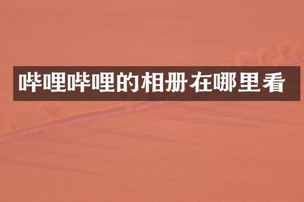 哔哩哔哩的相册在哪里看