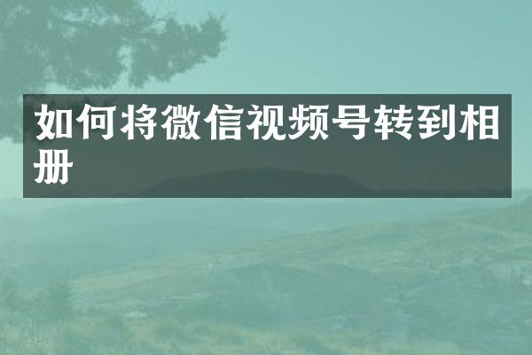 如何将微信视频号转到相册