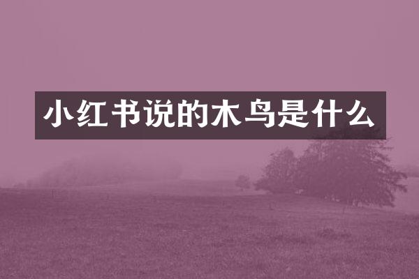 小红书说的木鸟是什么