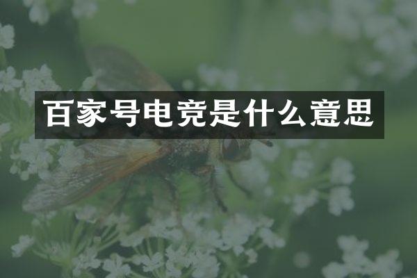 百家号电竞是什么意思