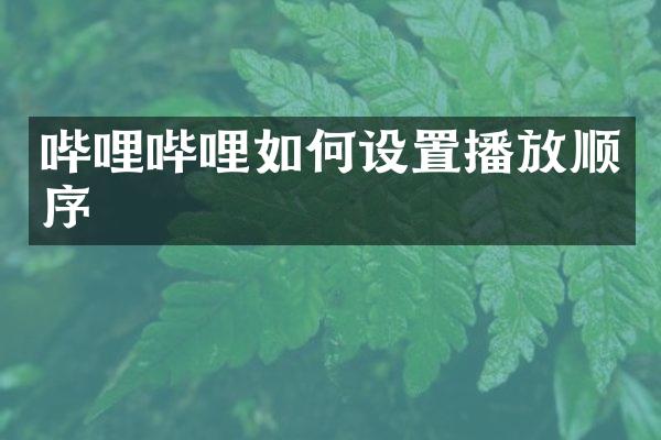 哔哩哔哩如何设置播放顺序
