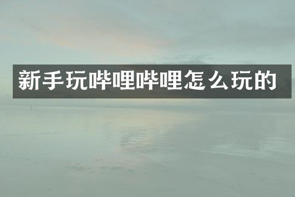 新手玩哔哩哔哩怎么玩的