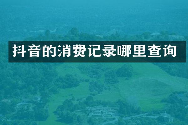 抖音的消费记录哪里查询