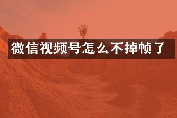微信视频号怎么不掉帧了