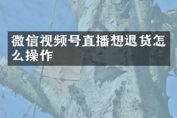 微信视频号直播想退货怎么操作