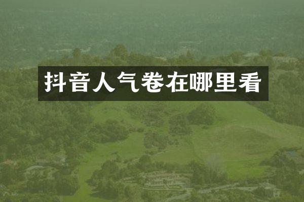 抖音人气卷在哪里看