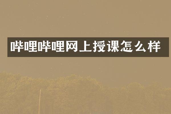 哔哩哔哩网上授课怎么样