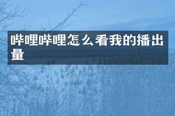 哔哩哔哩怎么看我的播出量