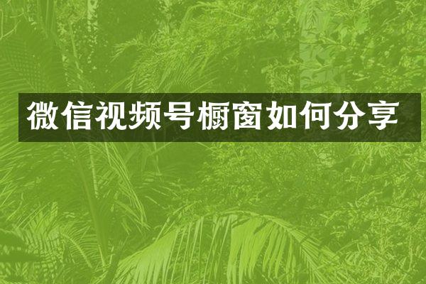 微信视频号橱窗如何分享