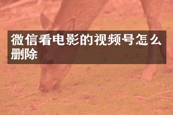 微信看电影的视频号怎么删除