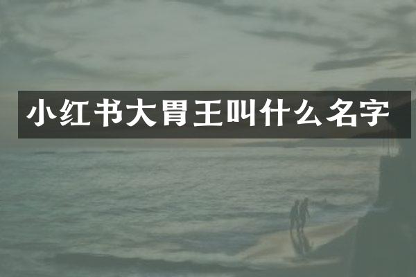 小红书大胃王叫什么名字