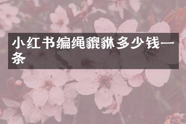 小红书编绳貔貅多少钱一条