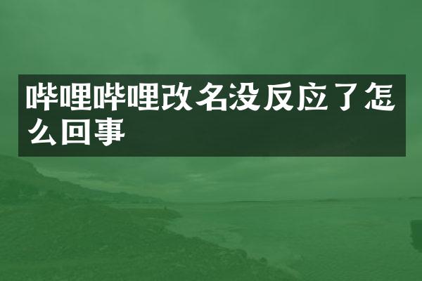哔哩哔哩改名没反应了怎么回事