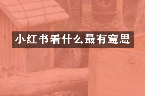 小红书看什么最有意思