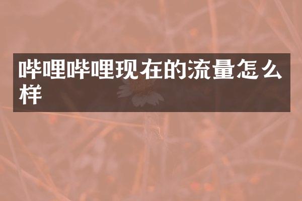 哔哩哔哩现在的流量怎么样