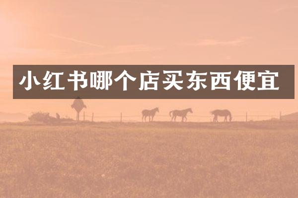小红书哪个店买东西便宜