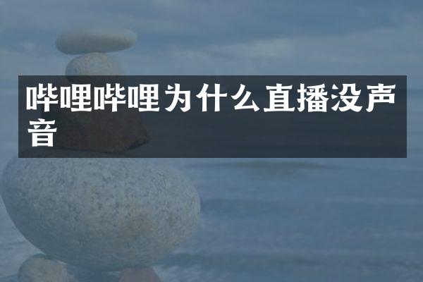 哔哩哔哩为什么直播没声音