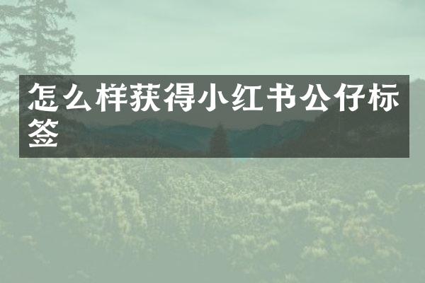 怎么样获得小红书公仔标签