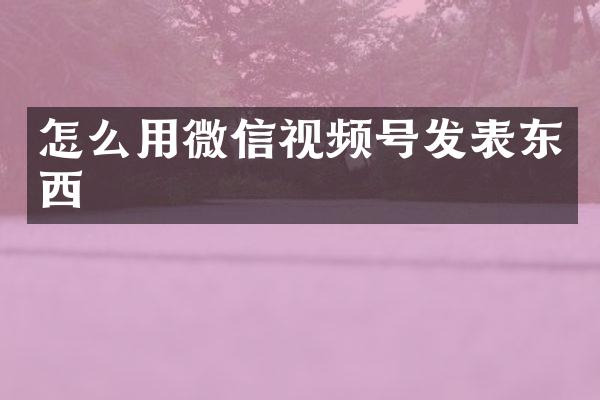 怎么用微信视频号发表东西