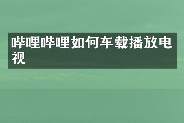 哔哩哔哩如何车载播放电视