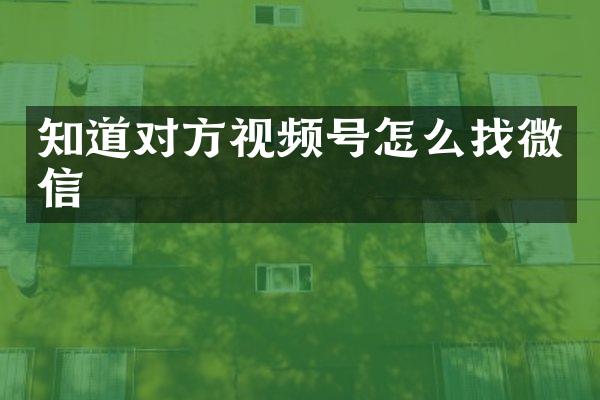 知道对方视频号怎么找微信