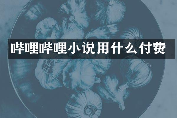 哔哩哔哩小说用什么付费