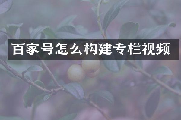 百家号怎么构建专栏视频