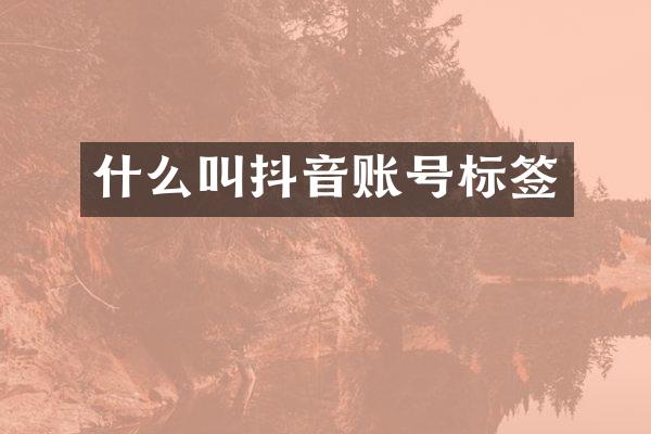 什么叫抖音账号标签