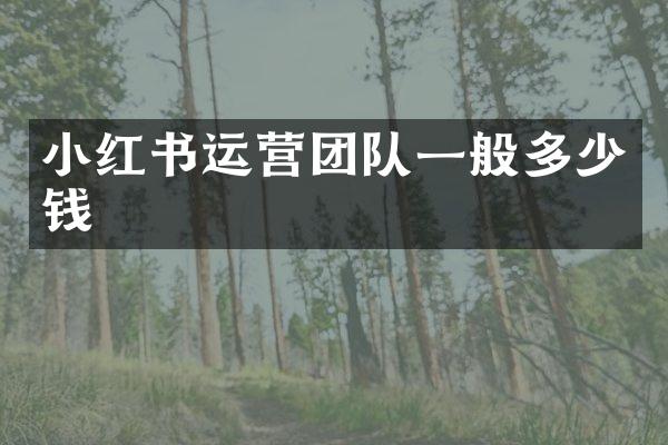 小红书运营团队一般多少钱