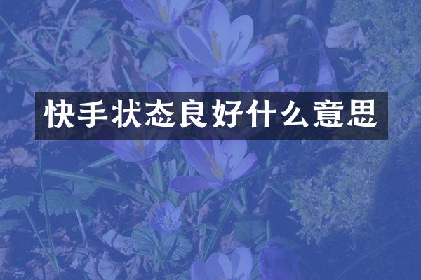 快手状态良好什么意思