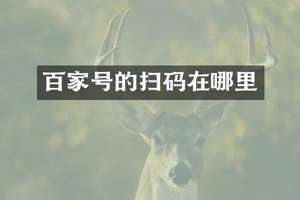 百家号的扫码在哪里