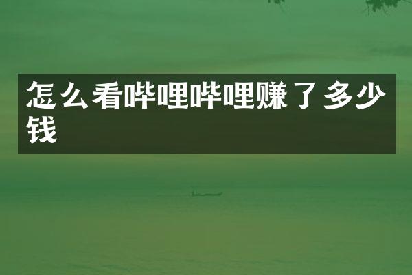 怎么看哔哩哔哩赚了多少钱