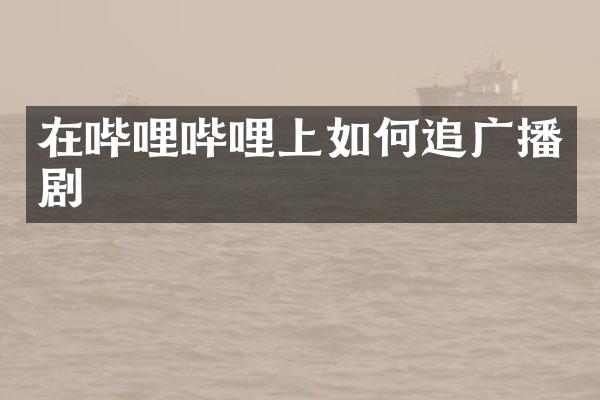 在哔哩哔哩上如何追广播剧