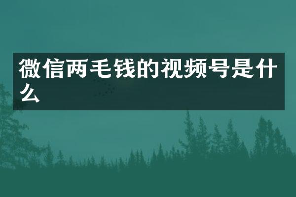 微信两毛钱的视频号是什么