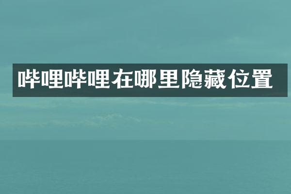 哔哩哔哩在哪里隐藏位置