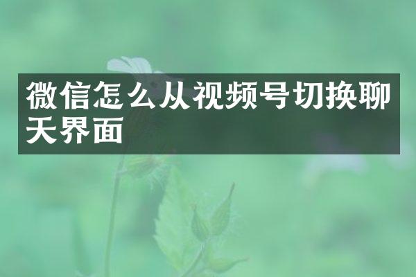 微信怎么从视频号切换聊天界面