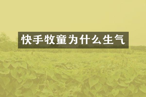 快手牧童为什么生气