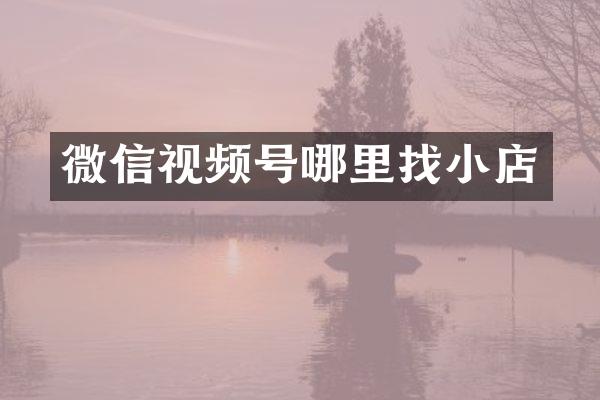 微信视频号哪里店