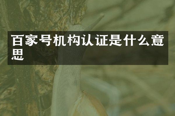 百家号机构认证是什么意思