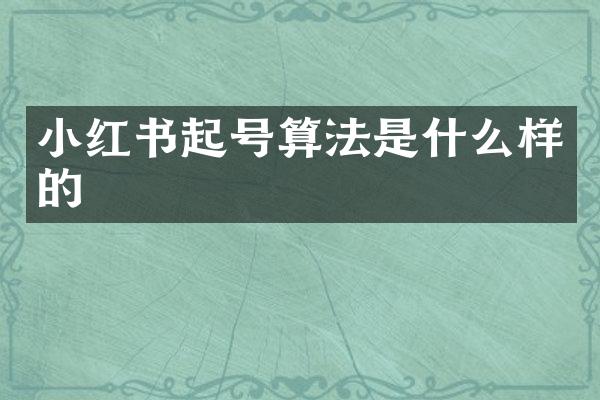 小红书起号算法是什么样的