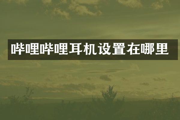 哔哩哔哩耳机设置在哪里