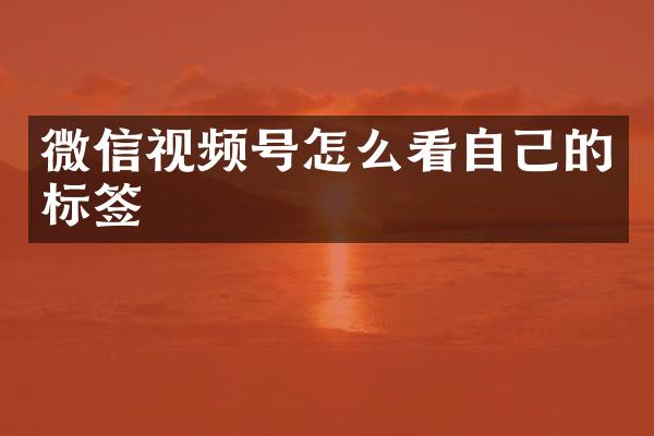 微信视频号怎么看自己的标签