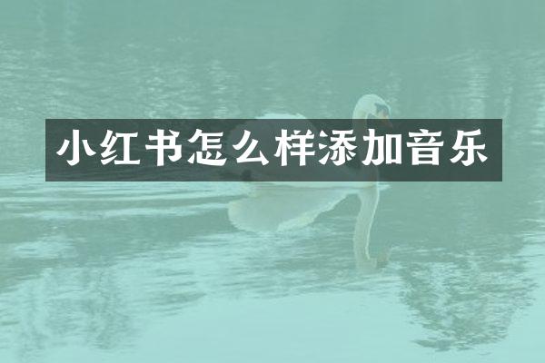 小红书怎么样添加音乐