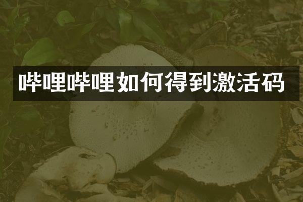 哔哩哔哩如何得到激活码