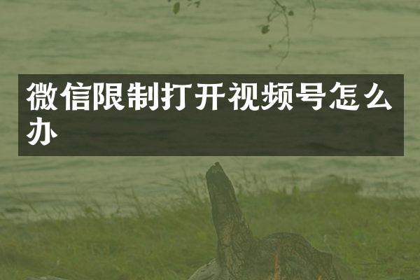 微信限制打开视频号怎么办