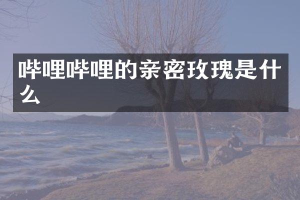 哔哩哔哩的亲密玫瑰是什么